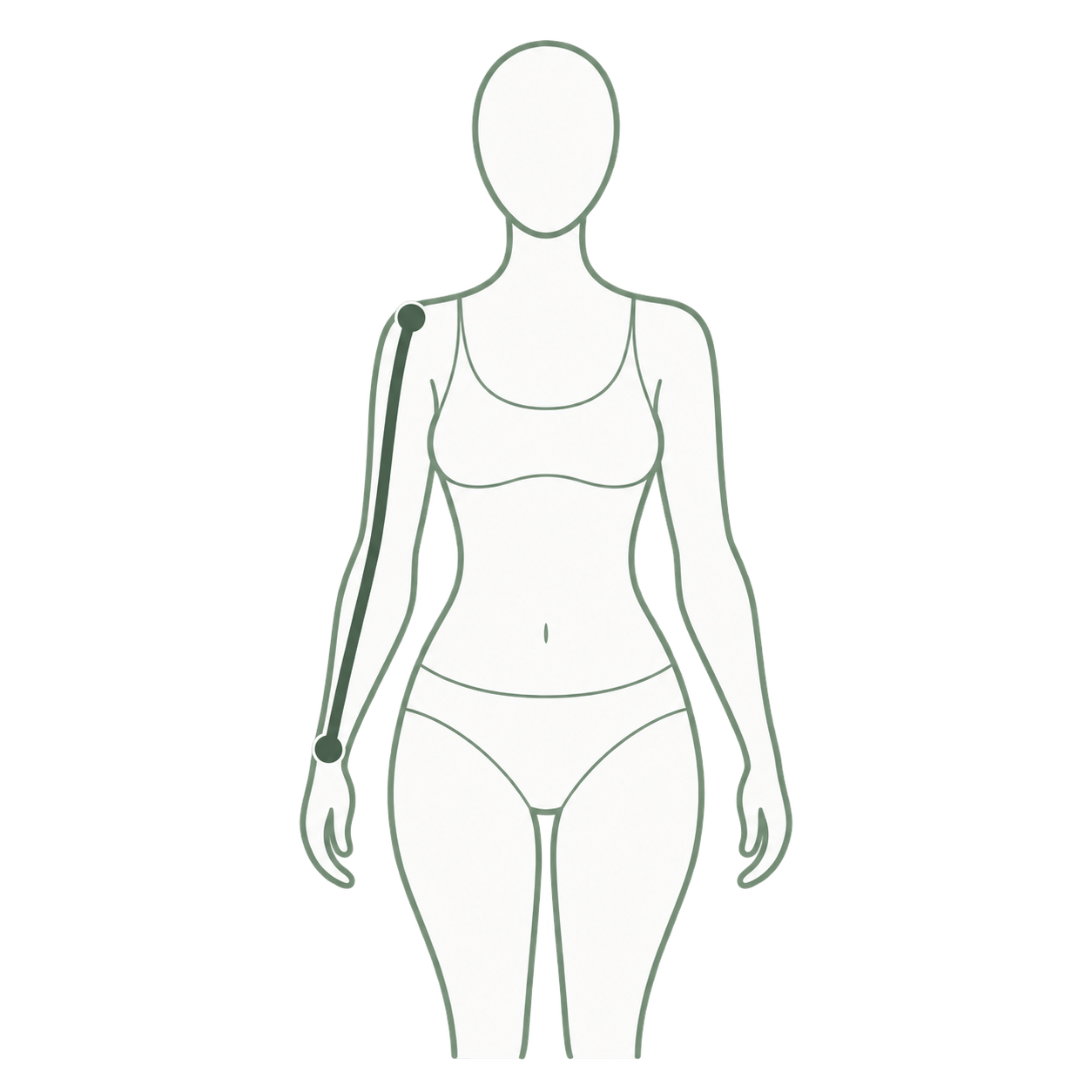 Illustration: how to measure sleeve length